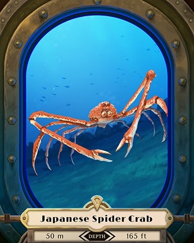 Japanese Spider Crab Deep Sea Creatures Badge - Snowbird Solitaire