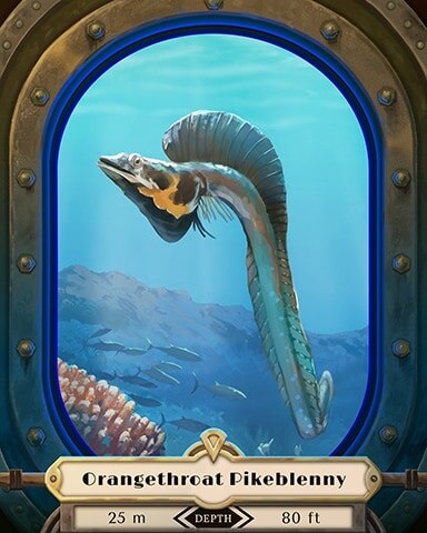 Orangethroat Pikeblenny Deep Sea Creatures Badge - Word Whomp HD