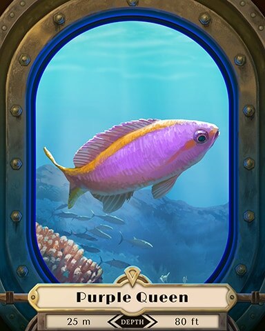 Purple Queen Deep Sea Creatures Badge - Jungle Gin HD