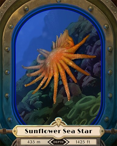 Sunflower Sea Star Deep Sea Creatures Badge - Mahjong Safari HD