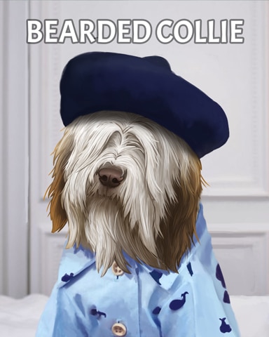 Bearded Collie Dogs In Disguise Badge - Canasta HD