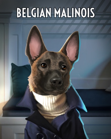 Belgian Malinois Dogs In Disguise Badge - Trivial Pursuit Online