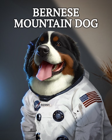 Bernese Mountain Dog Dogs In Disguise Badge - First Class Solitaire HD