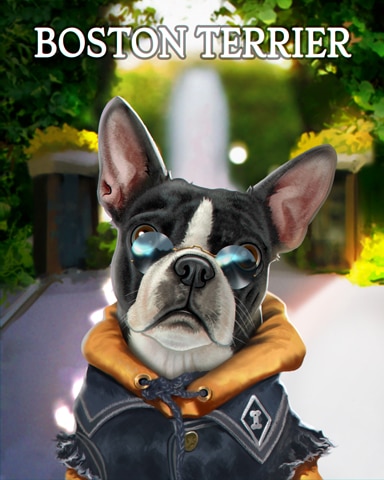 Boston Terrier Dogs In Disguise Badge - Dice City Roller HD