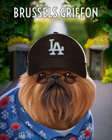 Brussels Griffon Dogs In Disguise Badge - Canasta HD