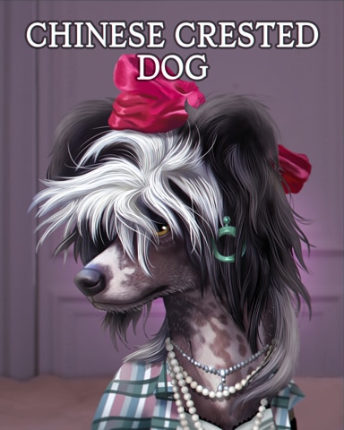 Chinese Crested Dogs In Disguise Badge - Tri-Peaks Solitaire HD