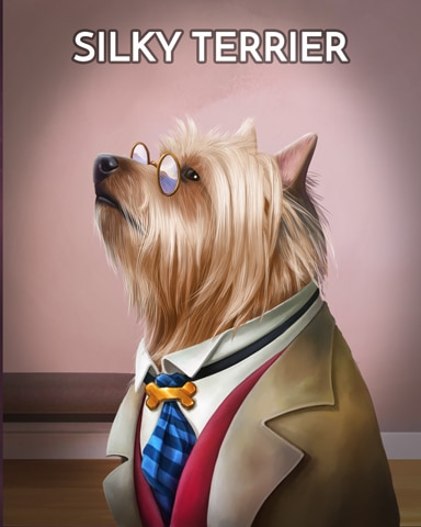 Silky Terrier Dogs In Disguise Badge - Jungle Gin HD