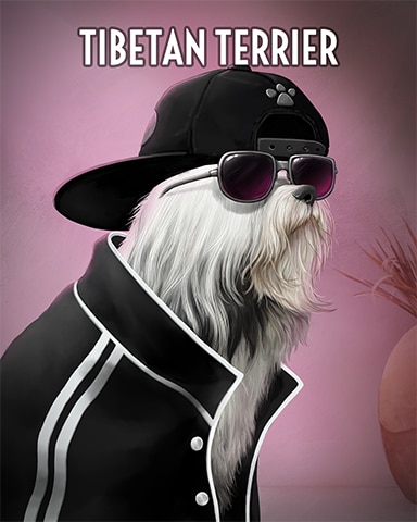 Tibetan Terrier Dogs In Disguise Badge - Rainy Day Spider Solitaire HD