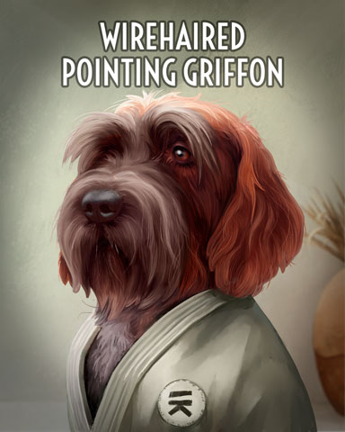 Wirehaired Pointing Griffon Dogs In Disguise Badge - Claire Hart: Secret In The Shadows