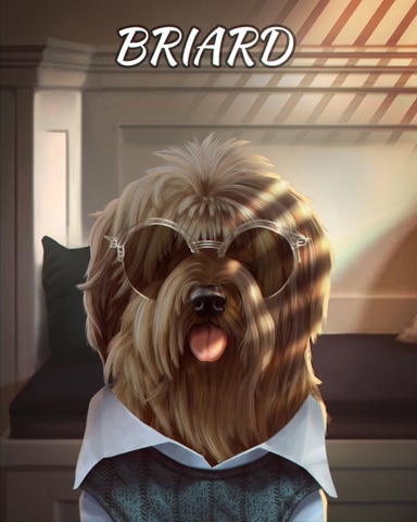 Briard Dogs In Disguise Badge - First Class Solitaire HD