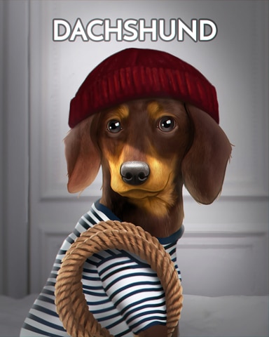 Dachshund Dogs In Disguise Badge - Jungle Gin HD