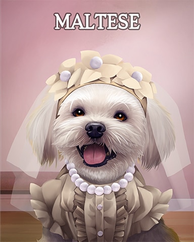 Maltese Dogs In Disguise Badge - StoryQuest