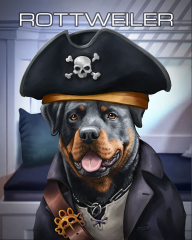 Rottweiler Dogs In Disguise Badge - Canasta HD