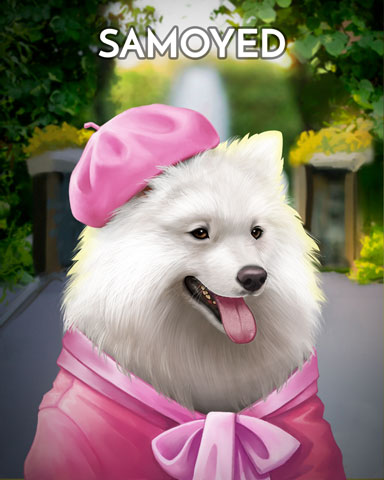 Samoyed Dogs In Disguise Badge - First Class Solitaire HD
