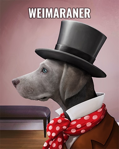 Weimaraner Dogs In Disguise Badge - First Class Solitaire HD