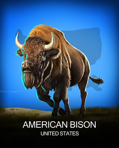 American Bison National Animals Badge - Pogo™ Addiction Solitaire HD American Bison National Animals Badge - Pogo™ Addiction Solitaire HD