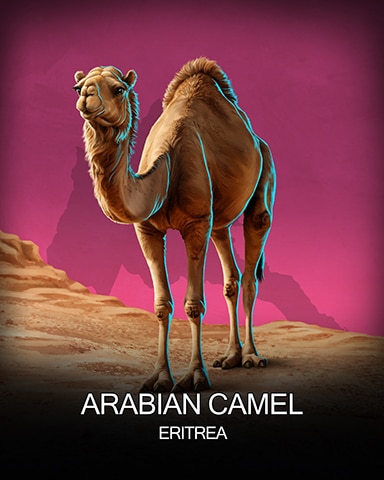 Arabian Camel National Animals Badge - Snowbird Solitaire Arabian Camel National Animals Badge - Snowbird Solitaire