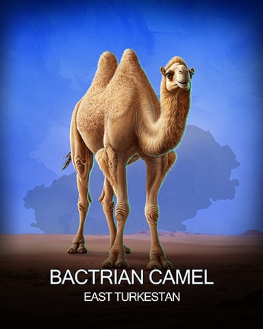 Bactrian Camel National Animals Badge - Word Whomp HD Bactrian Camel National Animals Badge - Word Whomp HD