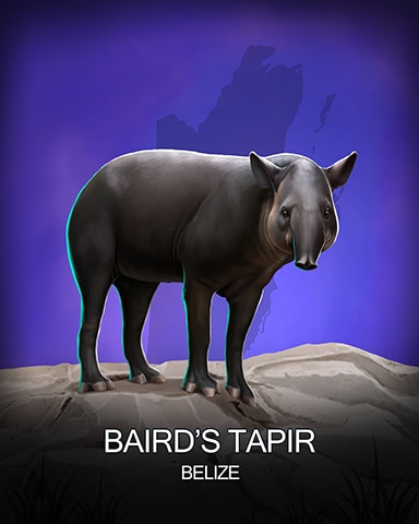 Bairds Tapir National Animals Badge - Word Whomp HD Bairds Tapir National Animals Badge - Word Whomp HD
