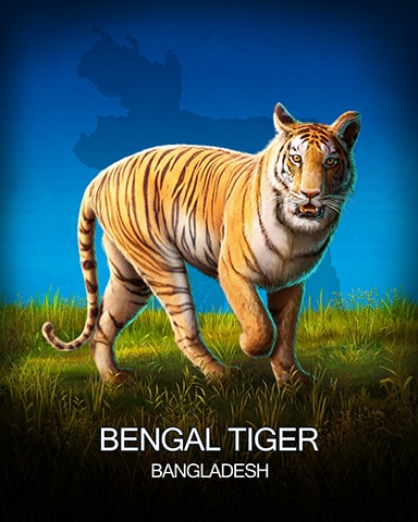 Bengal Tiger National Animals Badge - Tri-Peaks Solitaire HD Bengal Tiger National Animals Badge - Tri-Peaks Solitaire HD