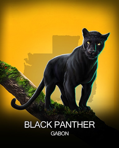 Black Panther National Animals Badge - Canasta HD Black Panther National Animals Badge - Canasta HD