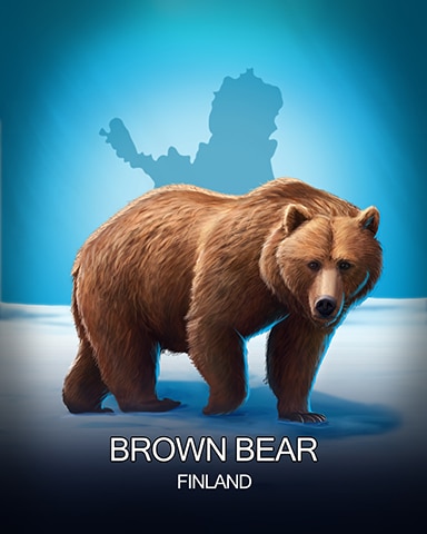 Brown Bear National Animals Badge - Jigsaw Treasure Hunter HD Brown Bear National Animals Badge - Jigsaw Treasure Hunter HD