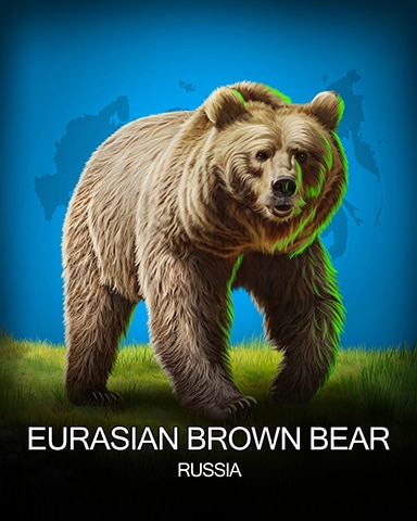 Eurasian Brown Bear National Animals Badge - MONOPOLY Sudoku Eurasian Brown Bear National Animals Badge - MONOPOLY Sudoku