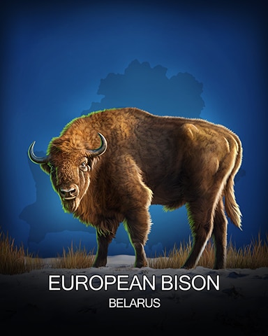 European Bison National Animals Badge - World Class Solitaire HD European Bison National Animals Badge - World Class Solitaire HD