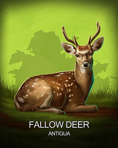 Fallow Deer National Animals Badge - Jet Set Solitaire Fallow Deer National Animals Badge - Jet Set Solitaire