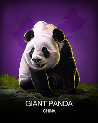 Giant Panda National Animals Badge - Crossword Cove HD
