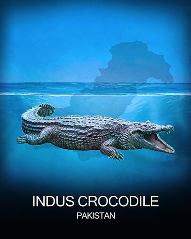 Indus Crocodile National Animals Badge - First Class Solitaire HD Indus Crocodile National Animals Badge - First Class Solitaire HD