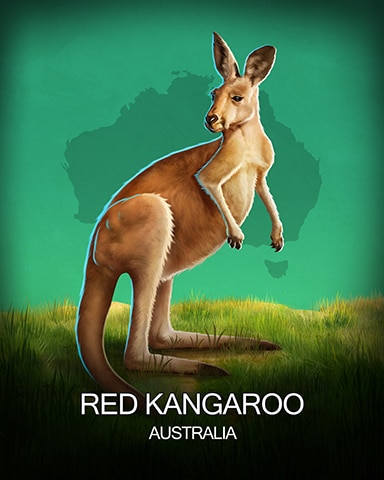 Red Kangaroo National Animals Badge - Mahjong Safari HD Red Kangaroo National Animals Badge - Mahjong Safari HD