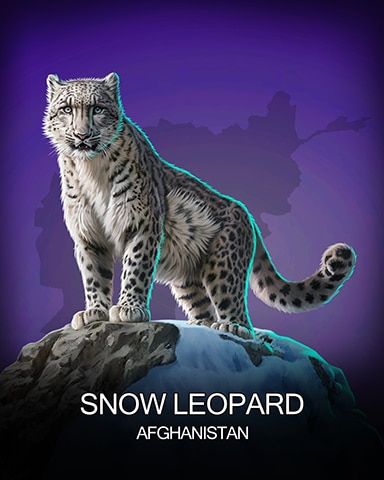 Snow Leopard National Animals Badge - Sweet Tooth Town Snow Leopard National Animals Badge - Sweet Tooth Town