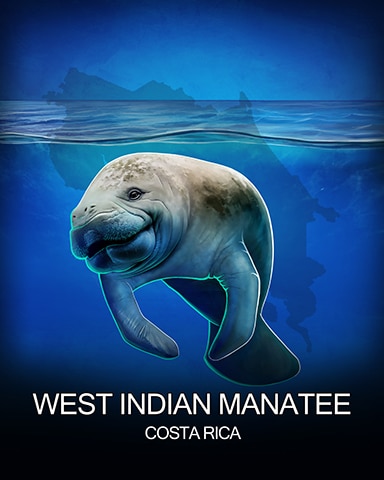 West Indian Manatee National Animals Badge - Jigsaw Treasure Hunter HD West Indian Manatee National Animals Badge - Jigsaw Treasure Hunter HD
