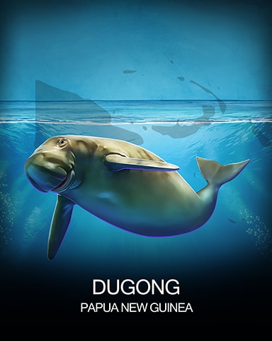Dugong National Animals Badge - Canasta HD