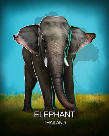 Elephant National Animals Badge - Mahjong Safari HD Elephant National Animals Badge - Mahjong Safari HD