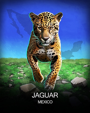 Jaguar National Animals Badge - Jet Set Solitaire Jaguar National Animals Badge - Jet Set Solitaire