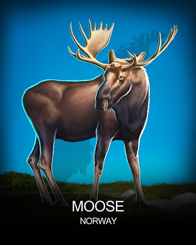 Moose National Animals Badge - Rainy Day Spider Solitaire HD Moose National Animals Badge - Rainy Day Spider Solitaire HD