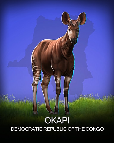 Okapi National Animals Badge - World Class Solitaire HD