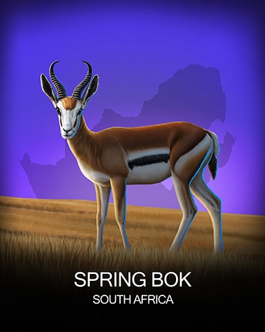 Springbok National Animals Badge - Spades HD Springbok National Animals Badge - Spades HD