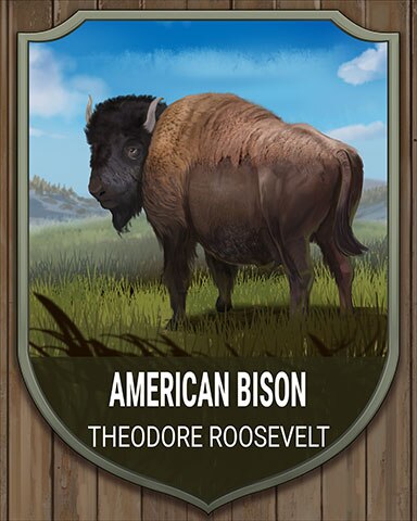 Theodore Roosevelt American Bison National Parks Badge - World Class Solitaire HD