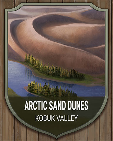 Kobuk Valley Arctic Sand Dunes National Parks Badge - Jungle Gin HD