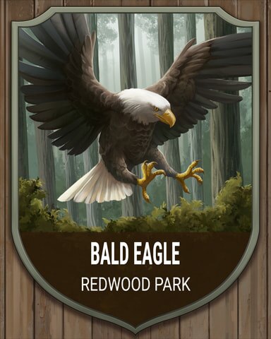 Redwood Park Bald Eagle National Parks Badge - First Class Solitaire HD