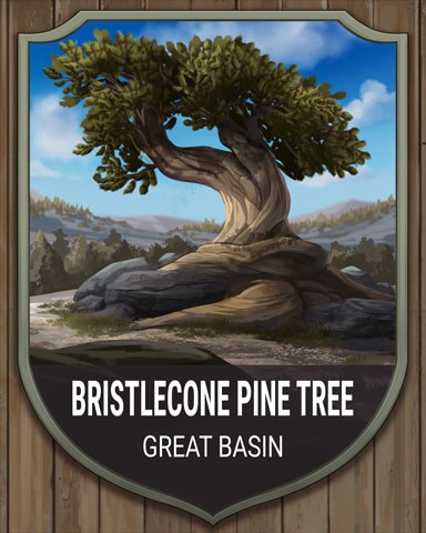 Great Basin Bristlecone Pine Tree National Parks Badge - Word Whomp HD