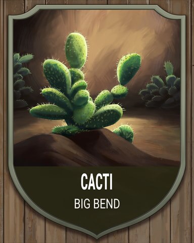 Big Bend Cacti National Parks Badge - Tri-Peaks Solitaire HD