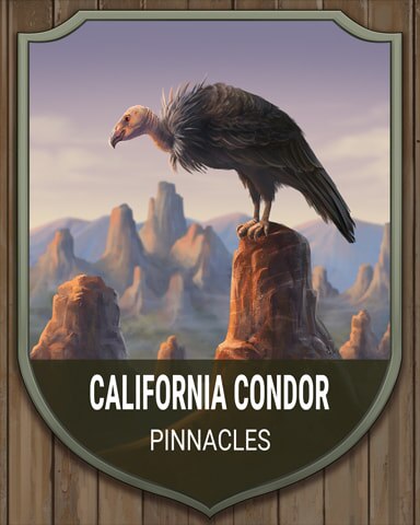 Pinnacles California Condor National Parks Badge - Word Whomp HD