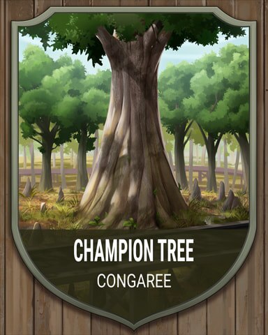 Congaree Champion Tree National Parks Badge - First Class Solitaire HD