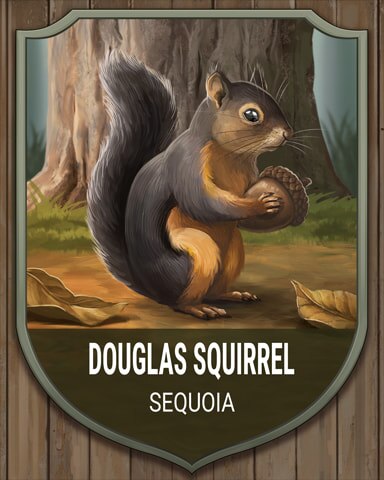 Sequoia Douglas Squirrel National Parks Badge - Word Whomp HD