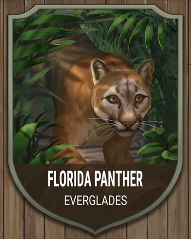 Everglades Florida Panther National Parks Badge - World Class Solitaire HD