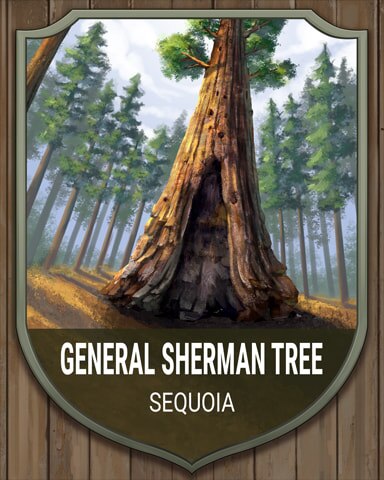 Sequoia General Sherman Tree National Parks Badge - Aces Up! HD